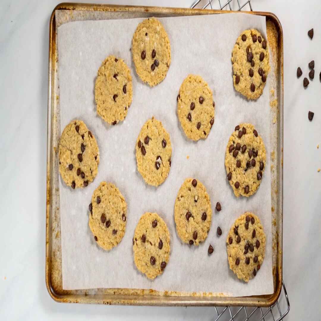 Two golden brown protein oatmeal cookies with chocolate chips cooling on a wire rack