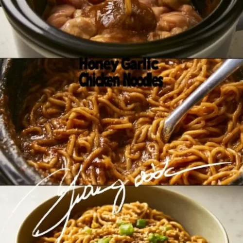 Honey Garlic Chicken Noodles 1